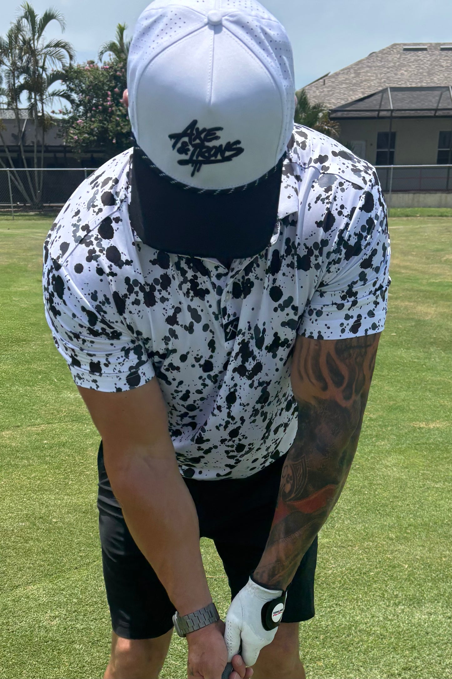 The Dalmatian Polo